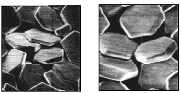 Figure 7 - Comparison of Fuji Grain Crystals