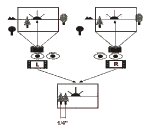 Figure 7 - Stereo Vision Diagram